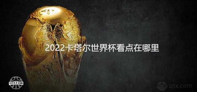 2022卡塔尔世界杯看点在哪里