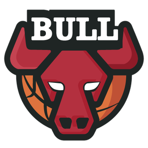 芝加哥公牛队徽