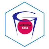 格尔尼卡女篮队徽