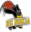 BC诺基亚队徽