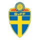 瑞典乙