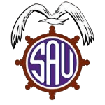 圣安东尼奥联队徽