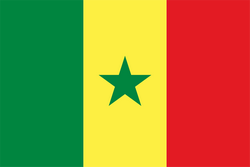 塞内加尔女足队徽