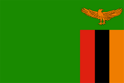 赞比亚女足队徽