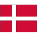 丹麦室内足球队队徽