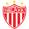 尼卡沙女足队徽