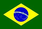巴西女足U20队徽