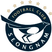城南足球俱乐部队徽