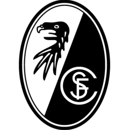 费雷堡女足队徽