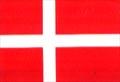 丹麦女足U17队徽