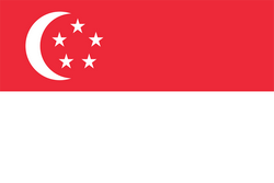 新加坡U19队徽