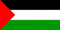 巴勒斯坦U19队徽