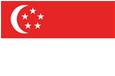 新加坡U16队徽