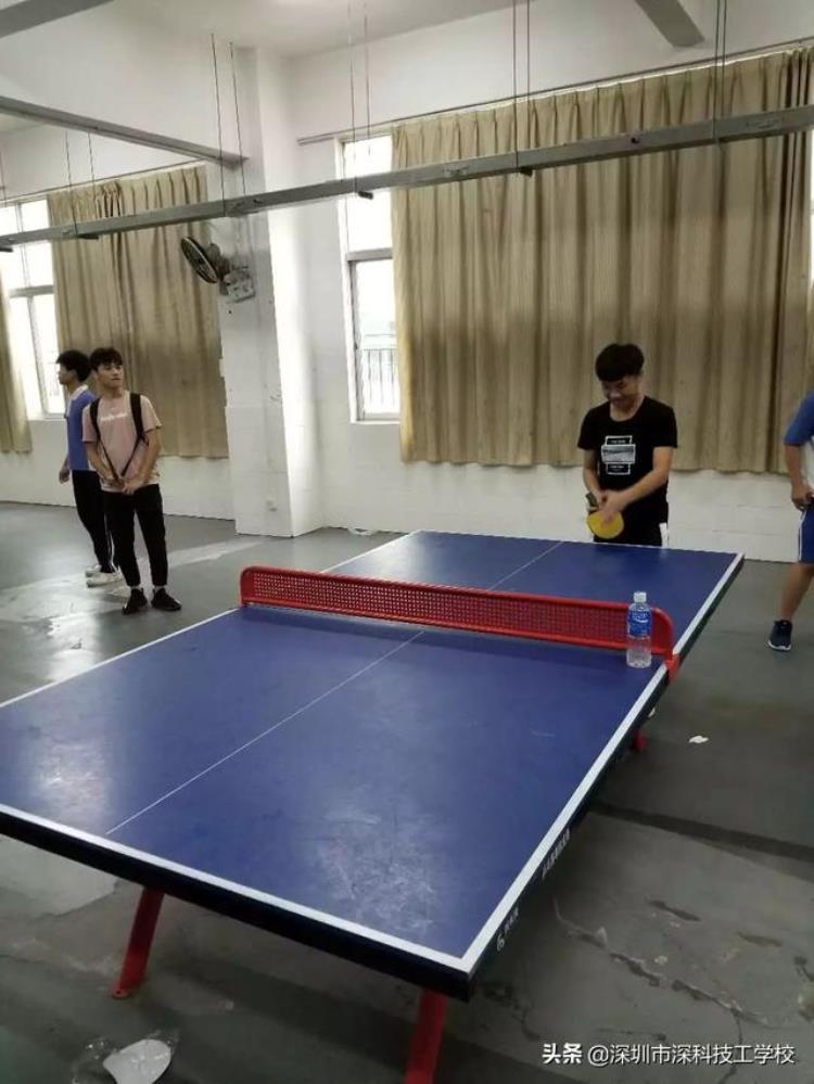 深圳高校羽毛球联赛「深科技校2019年夏季学生乒乓球羽毛球比赛圆满落幕」