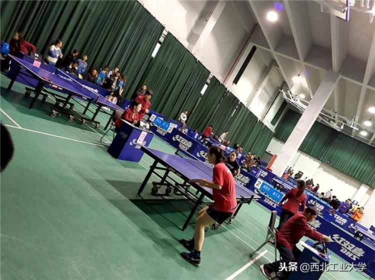 西工大代表队在陕西省大学生乒乓球比赛获优异成绩