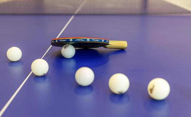 青少年乒乓球兴趣启蒙培训「乒乓球训练|青少年的必修课菲特云」