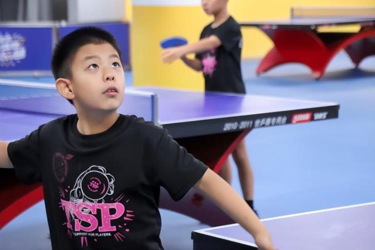 青少年乒乓球兴趣启蒙培训「乒乓球训练|青少年的必修课菲特云」