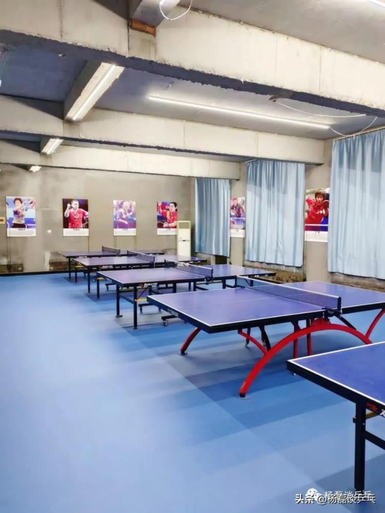 博友乒乓球俱乐部「专访博乐俱乐部业余乒乓俱乐部未来就是面向大众普及乒乓」