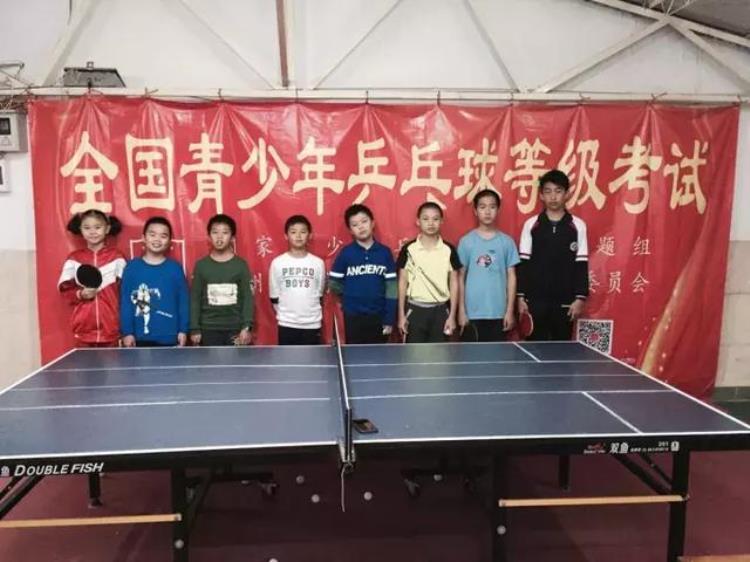 国家青少年乒乓球等级考「全国青少年乒乓球等级考试培养专业运动员技能水平」