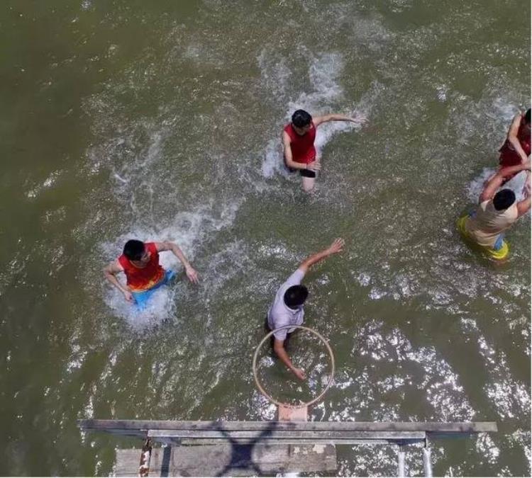 广西水球队「广西举办了场水上篮球赛你们村里人真会玩」