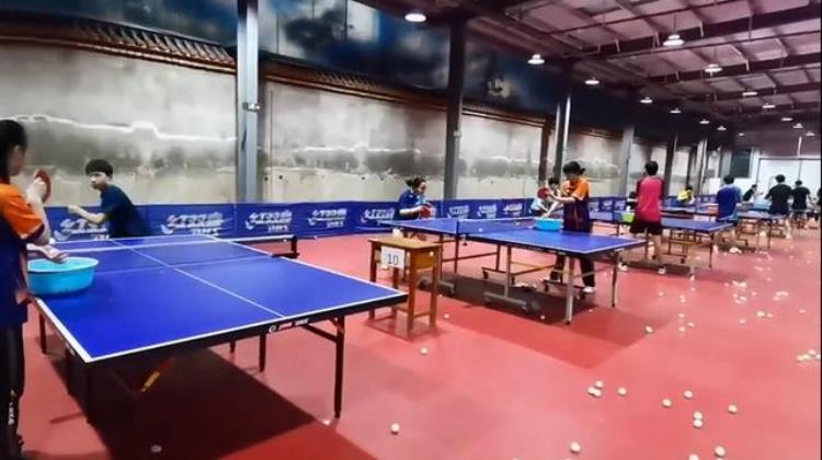 巴南区乒乓球俱乐部在哪「竞技体育改革发展|奋发乒搏巴南这支乒乓球队力扬国球精神」
