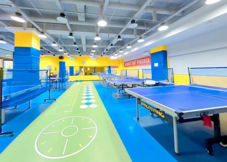 乒乓球技能培训「乒乓球培训机构乒乓球基本步伐训练」