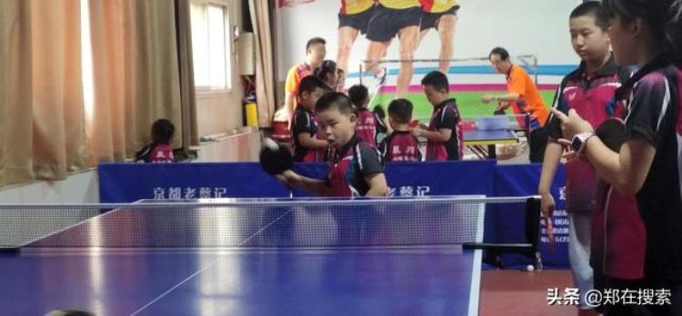 郑州乒乓球集训中心「郑州晨翔乒乓球俱乐部让家长乒然心动的是孩子的内在变化」