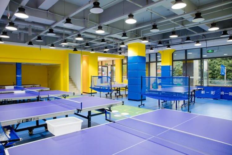 乒乓球技能培训「乒乓球培训机构乒乓球基本步伐训练」