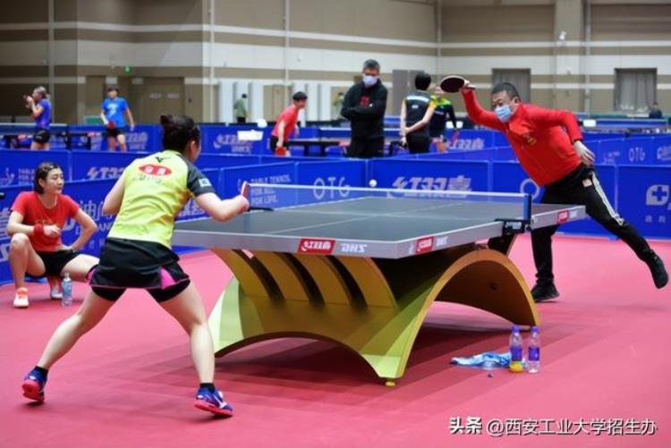 西安乒乓球运动员「火了西安工大青年教师全国最年轻乒乓球国际级裁判」