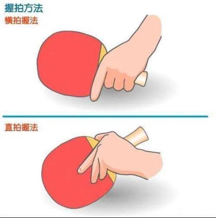 乒乓球握拍正确姿势「再议乒乓球握拍的正确手型」