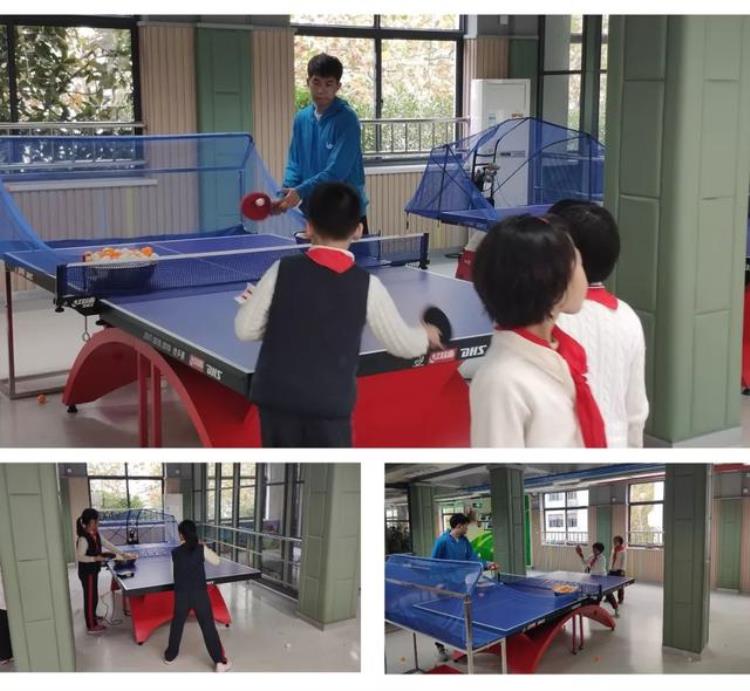 上海市乒乓特色学校「2019年上海市学生乒乓球训练基地明势体育等级测试执行回顾」
