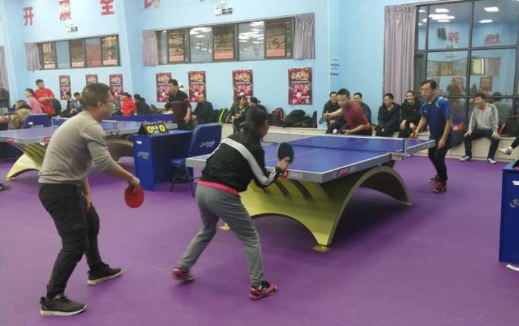 乒乓球大胖小胖对决「wtt乒乓球赛2021比赛结果」