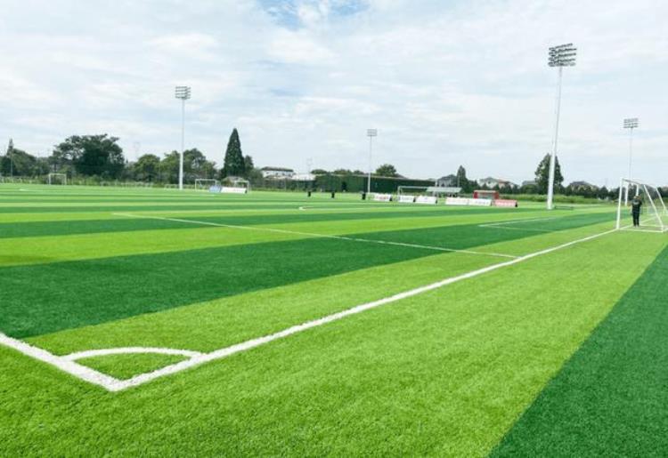 中国足球发展报告「八大方面回顾中国足球近年发展职业联赛和国家队建设远远不够」