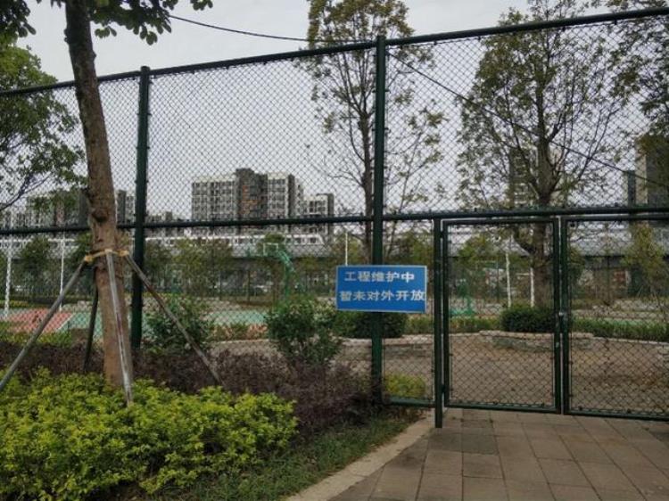 深圳室外篮球场开放「深圳一公园篮球场建好半年未开放街道办6月前整改完对外开放」