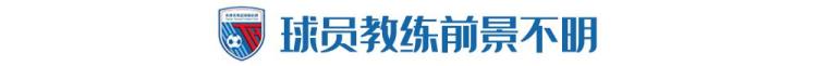 天津权健为什么改名叫天海「权健彻底退出中国足坛天海最严重恐直接解散」