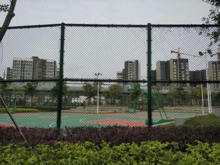 深圳室外篮球场开放「深圳一公园篮球场建好半年未开放街道办6月前整改完对外开放」
