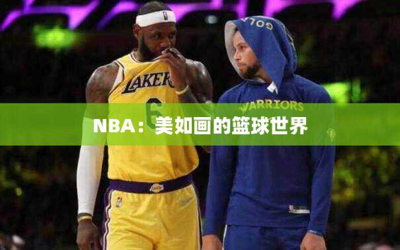 NBA：美如画的篮球世界