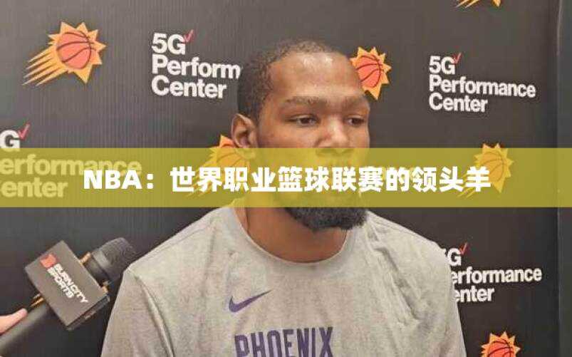 NBA：世界职业篮球联赛的领头羊