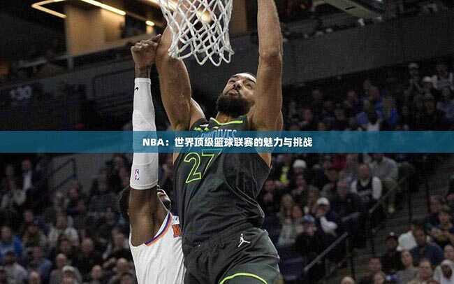 NBA：世界顶级篮球联赛的魅力与挑战