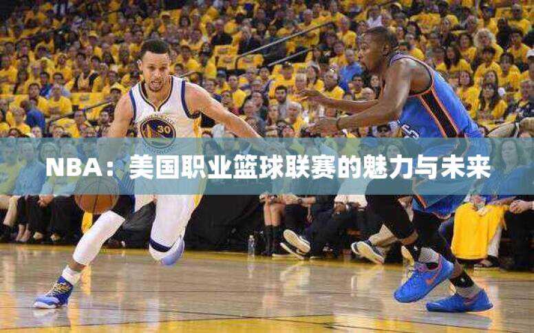 NBA：美国职业篮球联赛的魅力与未来